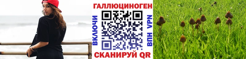 Псилоцибиновые грибы мухоморы  Купить закладки  Узловая 